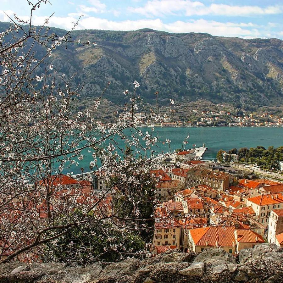 Old Town Boskovic Apartment Kotor Buitenkant foto